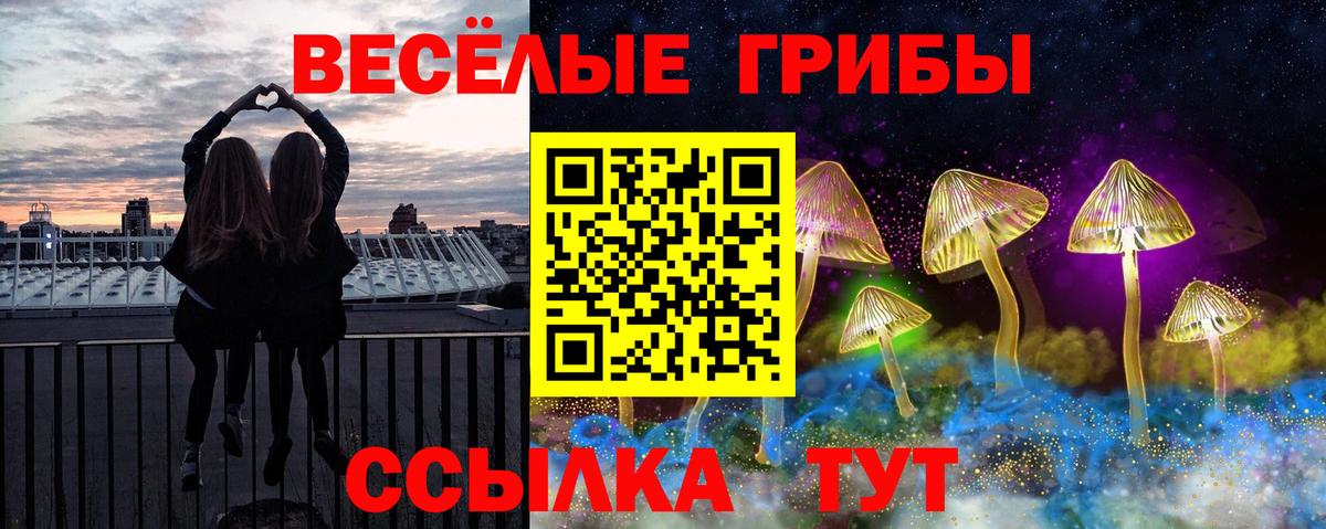 Галлюциногенные грибы Cubensis Нефтеюганск
