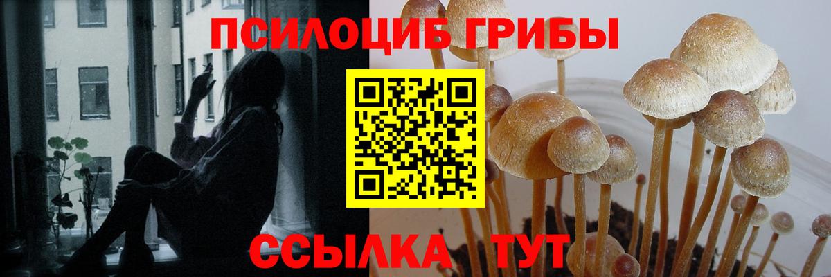 где продают наркотики  Псилоцибиновые грибы Psilocybe  Вход с VPN  Галлюциногенные грибы Psilocybine cubensis  Нефтеюганск 